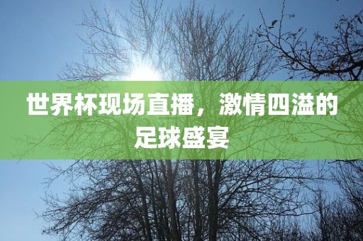 世界常熟市高丰毛纺织品有限公司杯现场直播，激情四溢的足球盛宴