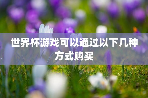 世界杯游戏可以通过以下几种方式购买