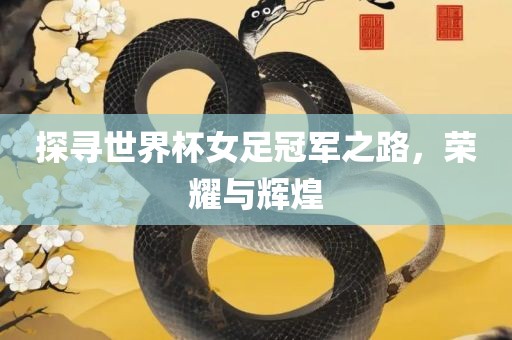 探寻世界杯女足冠军之路，荣耀与辉煌