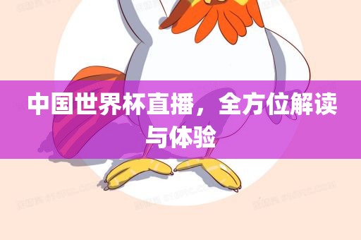 中国世界杯直播，全方位解读与体验常熟市高丰毛纺织品有限公司