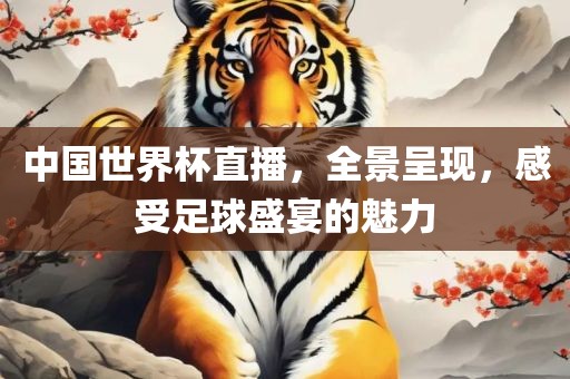 中国世界杯直播，全景呈现，感受足球盛宴的魅力常熟市高丰毛纺织品有限公司