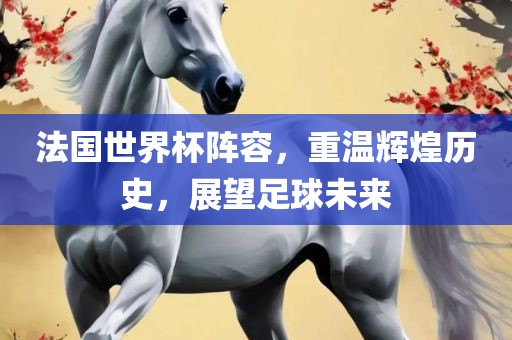 法国世界杯阵容，重温辉煌历史，展望足球未来