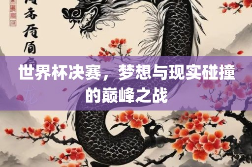 世界杯决赛，梦想与现实碰撞的巅峰之战