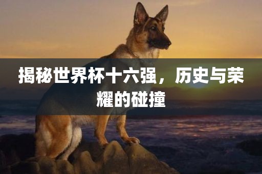 揭秘世界杯十六强，历史与荣耀的碰撞