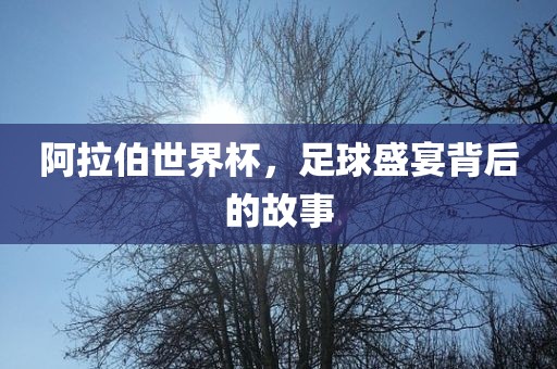 阿拉伯世界杯，足球盛宴背后的故事