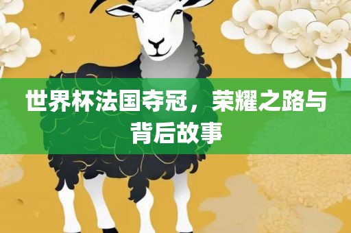 世界杯法国夺冠，荣耀之路与背后故事