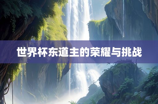 世界杯东道主的荣耀与挑战