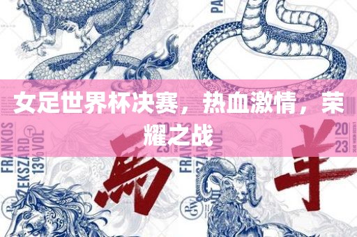女足世界杯决赛，热血激情，荣耀之战