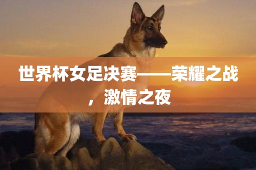 世界杯女足决赛——荣耀之战，激情之夜