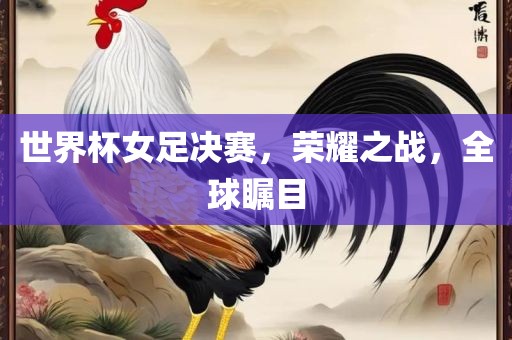 世界杯女足决赛，荣耀之战，全球瞩目