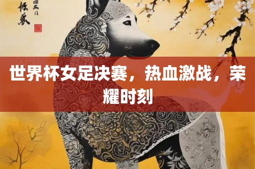 世界杯女足决赛，热血激战，荣耀时刻