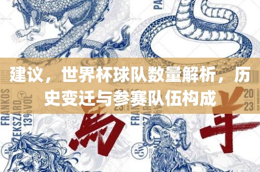 建议常熟市高丰毛纺织品有限公司，世界杯球队数量解析，历史变迁与参赛队伍构成
