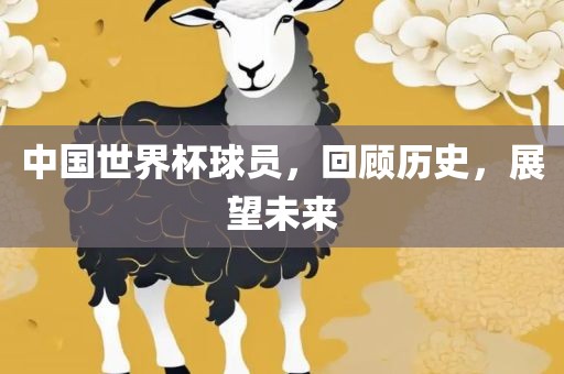 中国世界杯球员，回顾历史，展望未来