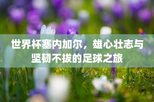 世界杯塞内加尔，雄心壮志与坚韧不拔的足球之旅常熟市高丰毛纺织品有限公司