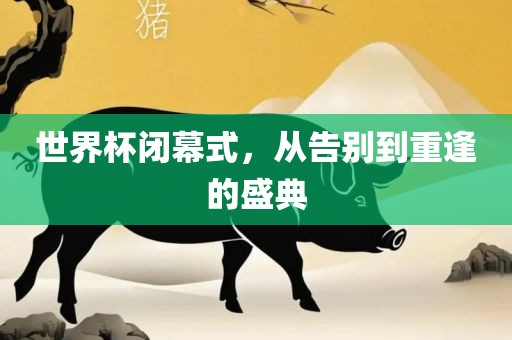 世界杯闭幕式，从告别到重逢的盛典常熟市高丰毛纺织品有限公司