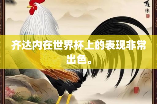 齐达内在世界杯上的表现非常出色。常熟市高丰毛纺织品有限公司