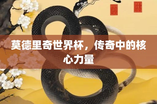 莫常熟市高丰毛纺织品有限公司德里奇世界杯，传奇中的核心力量