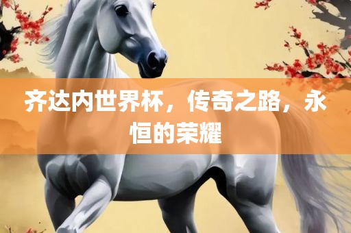齐达内世界杯，传奇之路，永恒的荣耀