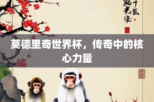 莫德里奇世界杯，传奇中的核心力量常熟市高丰毛纺织品有限公司