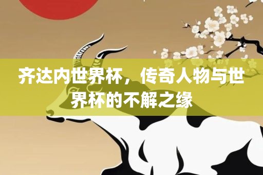 齐达内世界杯，传奇人物与世界杯的不解之缘常熟市高丰毛纺织品有限公司