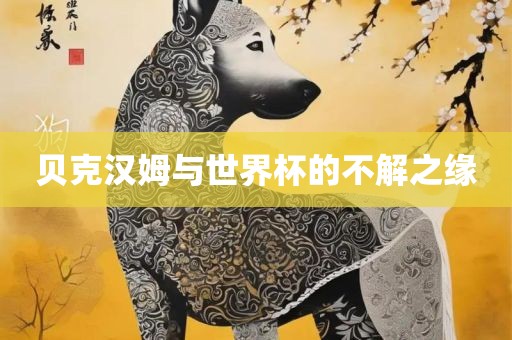 贝克汉姆与世界杯的不解之缘常熟市高丰毛纺织品有限公司