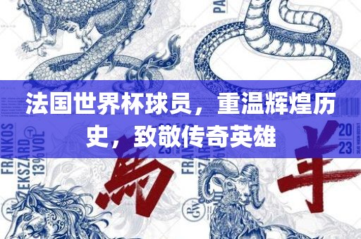 法国世界杯球员，重温辉煌历史，致敬传奇英雄