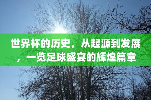 世界杯的历史，从起源到发展，一览足球盛宴的辉煌篇章常熟市高丰毛纺织品有限公司