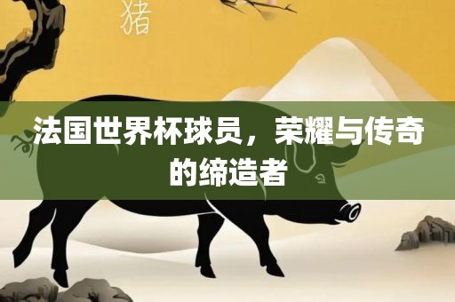 法国世界杯球员，荣耀与传奇的缔造者