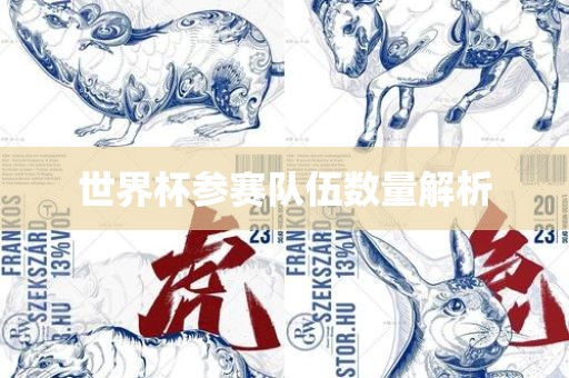 世界杯参赛队伍数量解析常熟市高丰毛纺织品有限公司