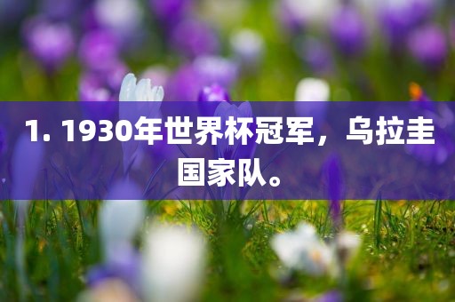 1. 1930年世界杯冠军，乌拉圭国家队。