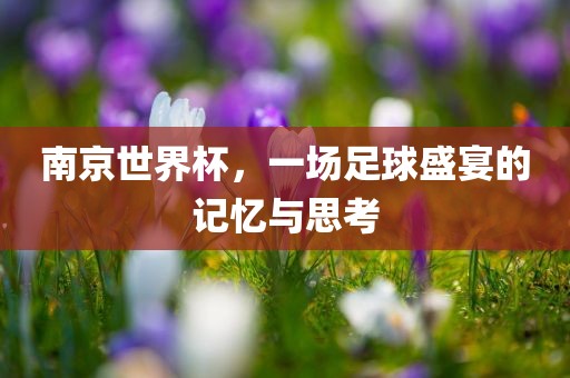 南京常熟市高丰毛纺织品有限公司世界杯，一场足球盛宴的记忆与思考