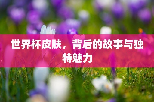 世界杯皮肤，背后的故事与独特魅力