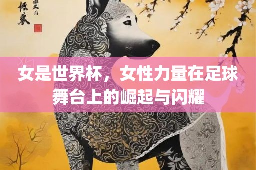女是世界杯，女性力量在足球舞台上的崛起与闪耀常熟市高丰毛纺织品有限公司