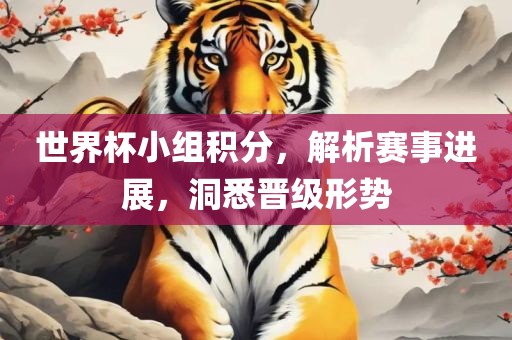 世界杯小组积分，解析赛事进展，洞悉晋级形势