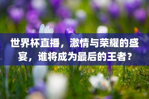 世界杯直播，激情与荣耀的盛宴，谁将成为最后的王者？