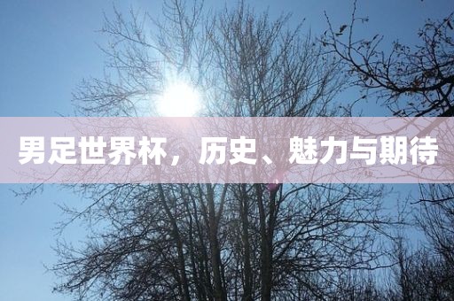男常熟市高丰毛纺织品有限公司足世界杯，历史、魅力与期待