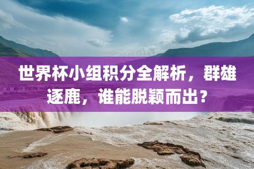 世界杯小组积分全解析，群雄逐鹿，谁能脱颖而出？