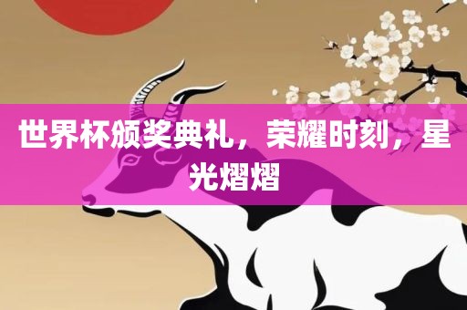 世界杯颁奖典礼，荣耀时刻，星光熠熠常熟市高丰毛纺织品有限公司