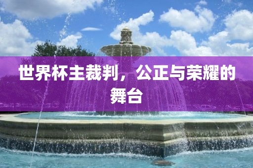 世界杯主裁判，公正与荣耀的舞台