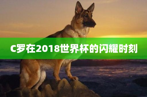C罗在2018世界杯的闪耀时刻