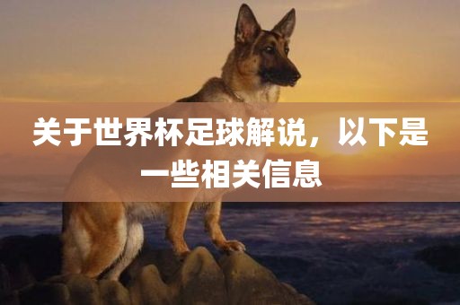 关于世界杯足球解说，以下是一些相关信息