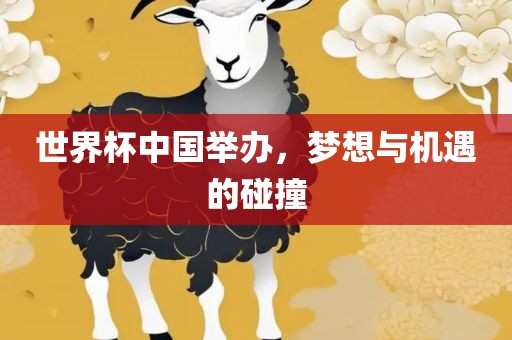 世界杯中国举办，梦想与机遇的碰撞
