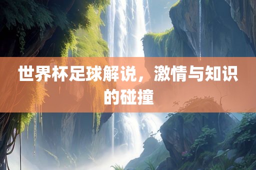 世界杯足球解说，激情与知识的碰撞