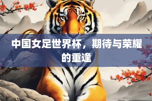 中国女足世界杯，期待与荣耀的重逢常熟市高丰毛纺织品有限公司