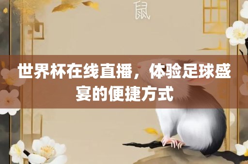 世界杯在线直播，体验足球盛宴的便捷方式