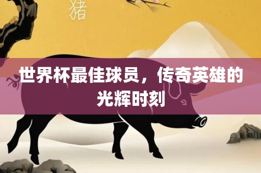世界杯最佳球员，传奇英雄的光辉时刻