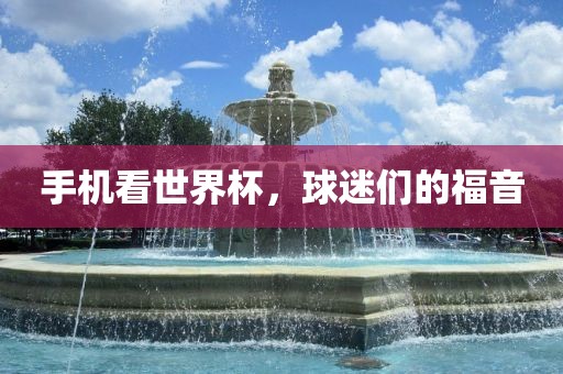 手机看世界杯，球迷们的福常熟市高丰毛纺织品有限公司音