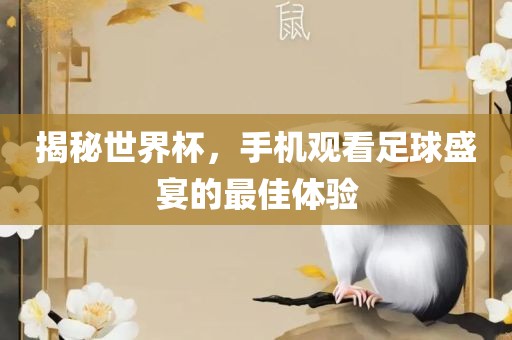 揭秘世界杯，手机观看常熟市高丰毛纺织品有限公司足球盛宴的最佳体验