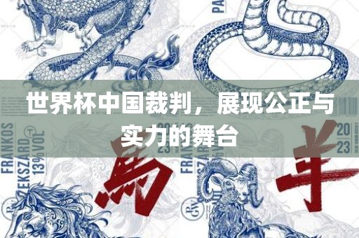 世界杯中国裁判，展现公正常熟市高丰毛纺织品有限公司与实力的舞台