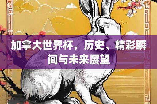 加拿大世界杯，历史、精彩瞬间与未来展望常熟市高丰毛纺织品有限公司
